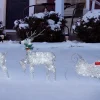Twinkle Reindeer Set, 3 Pieces