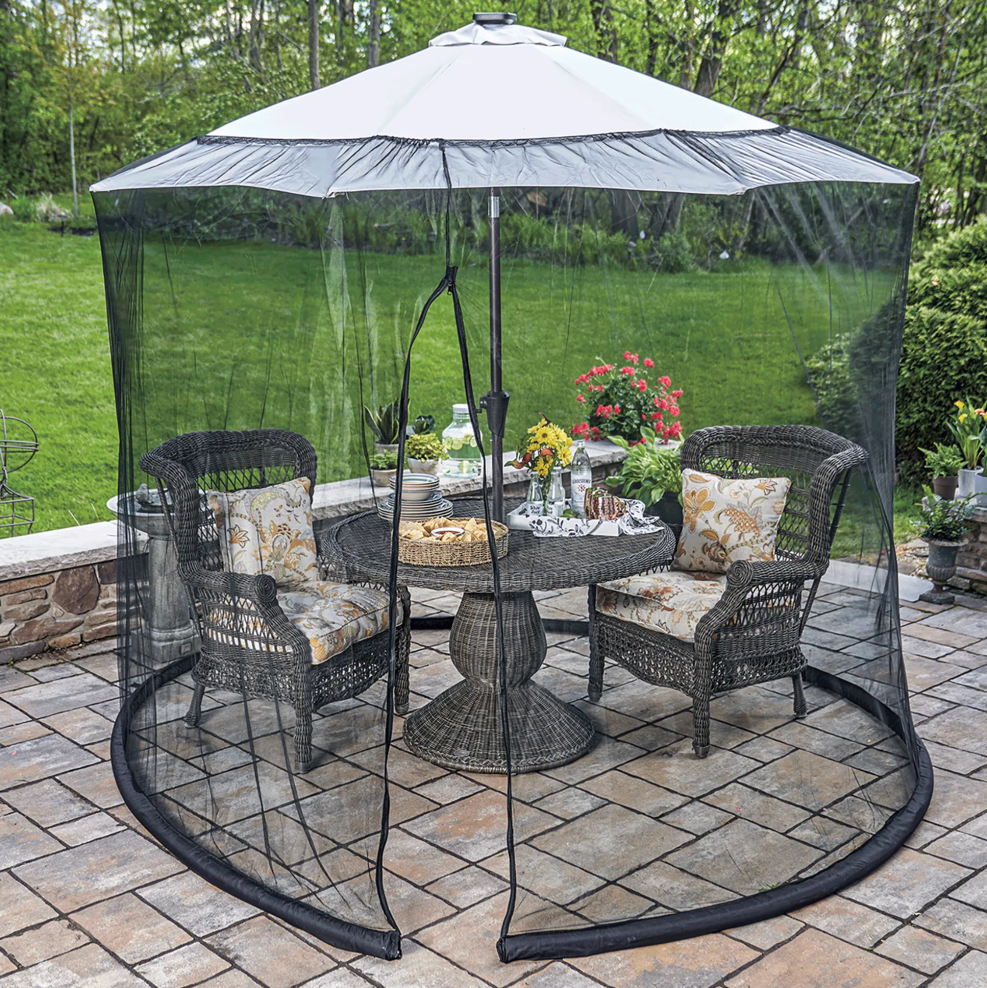 Umbrella Screen