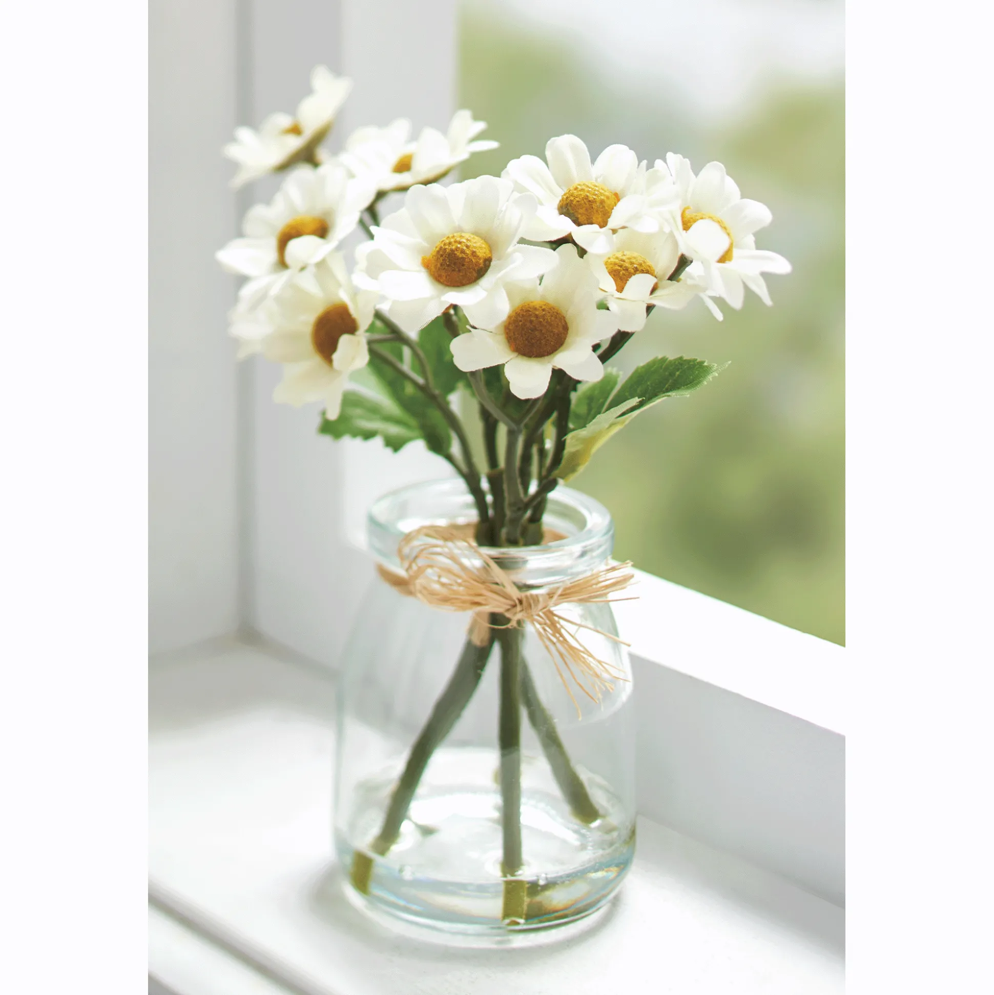 White Daisies in Glass Vase