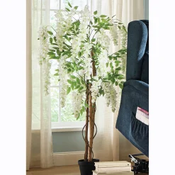 White Wisteria Tree