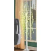 Willow Lit Tree