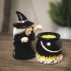 Witch and Cauldron Salt & Pepper Shakers