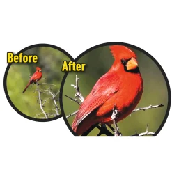 Zoom Optics Deluxe